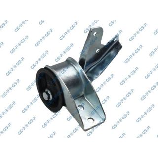 Variklio montavimas GSP 517471