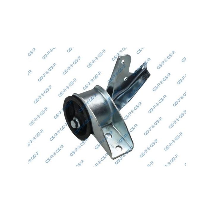 Variklio montavimas GSP 517471