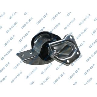 Variklio montavimas GSP 517473