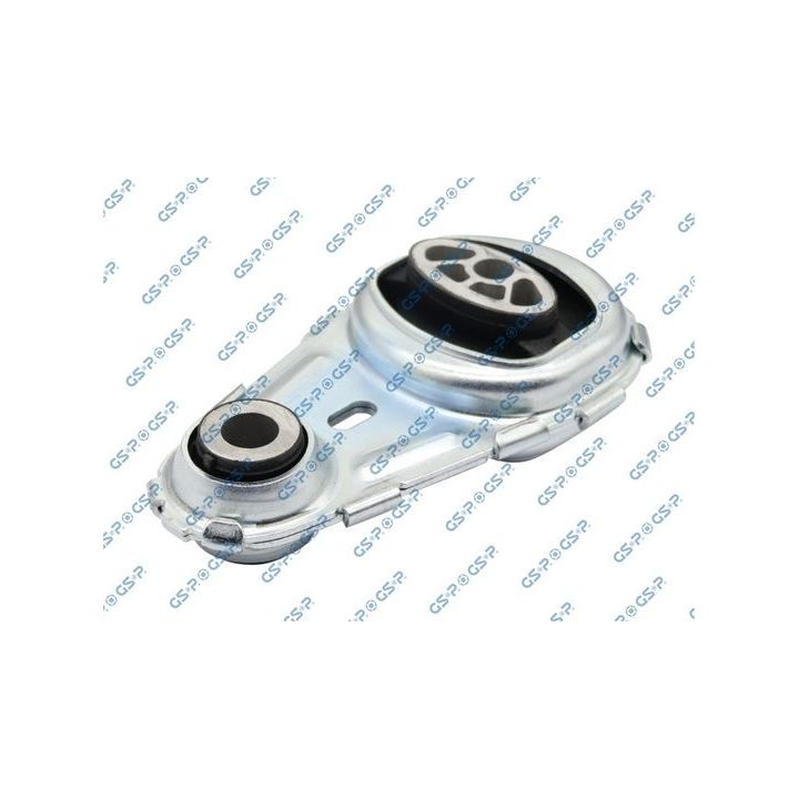 Variklio montavimas GSP 517488
