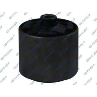 Variklio montavimas GSP 517532