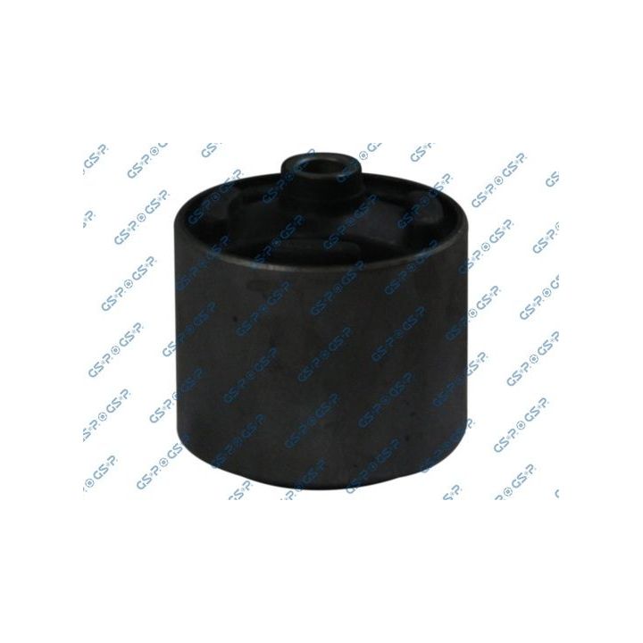 Variklio montavimas GSP 517532