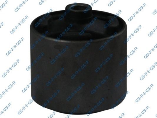 Variklio montavimas GSP 517532