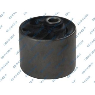 Variklio montavimas GSP 517686