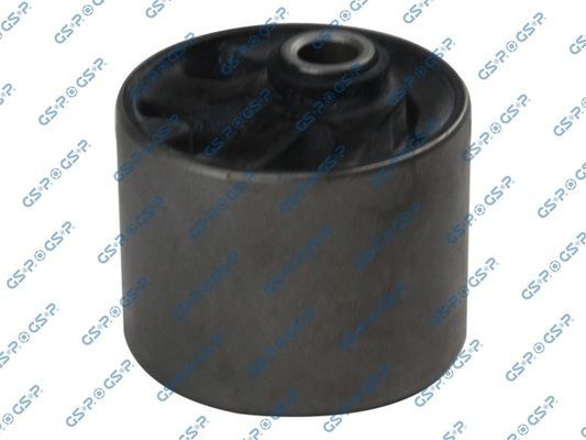 Variklio montavimas GSP 517686