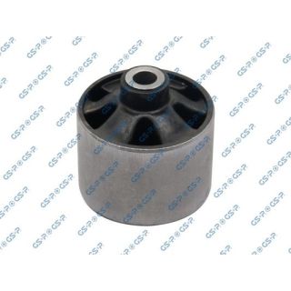 Variklio montavimas GSP 517687