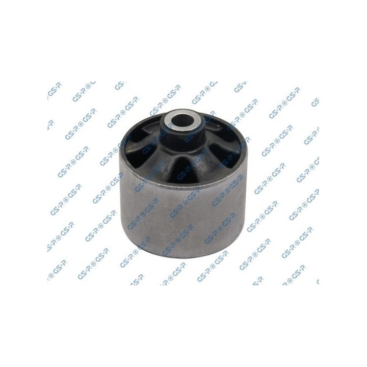 Variklio montavimas GSP 517687