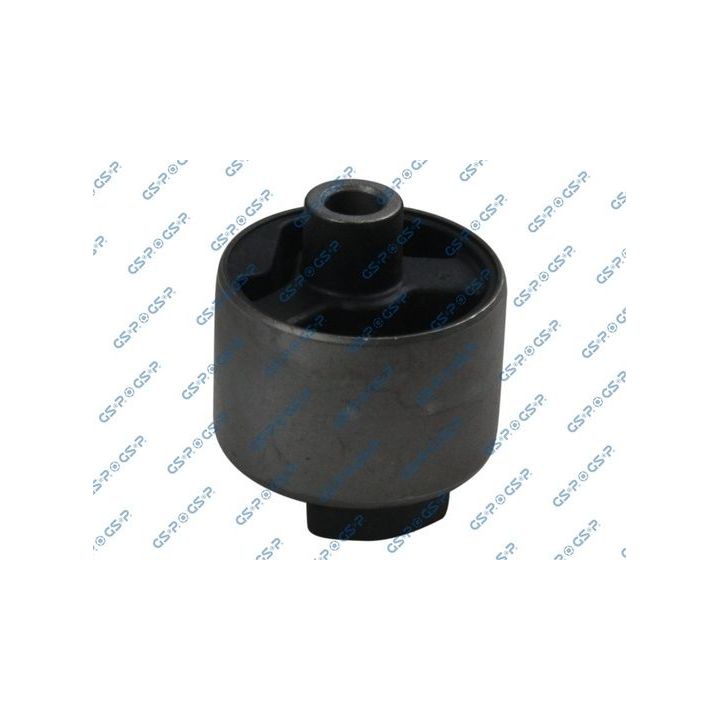 Variklio montavimas GSP 517690