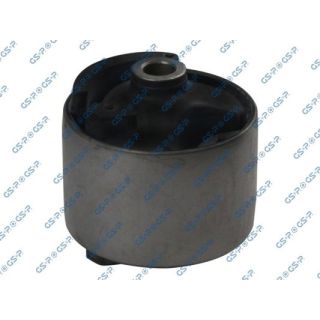 Variklio montavimas GSP 517691