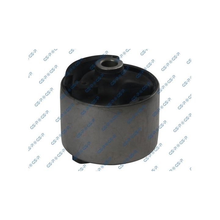 Variklio montavimas GSP 517691