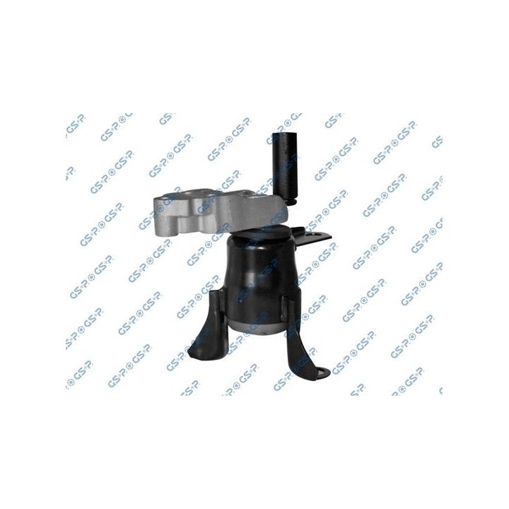 Variklio montavimas GSP 517739