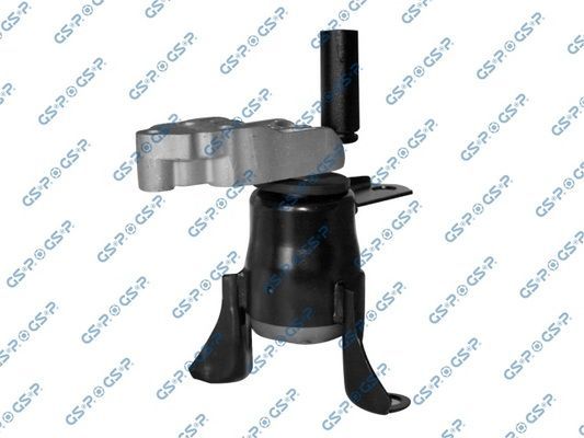 Variklio montavimas GSP 517739