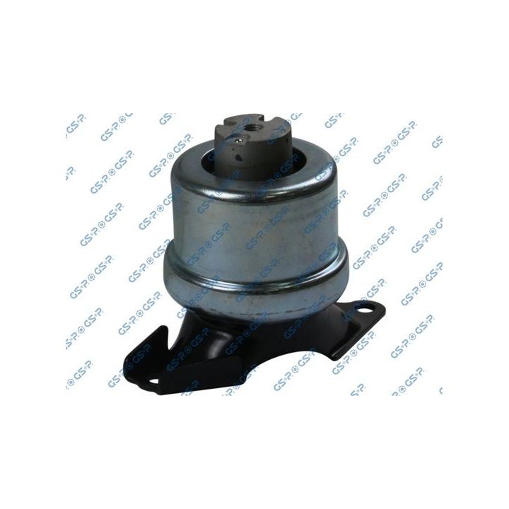 Variklio montavimas GSP 518035