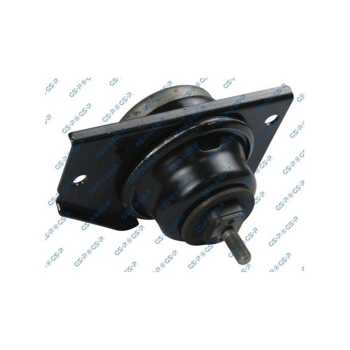 Variklio montavimas GSP 518165