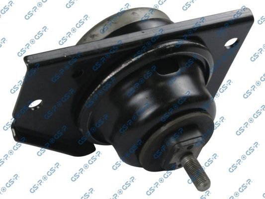 Variklio montavimas GSP 518165