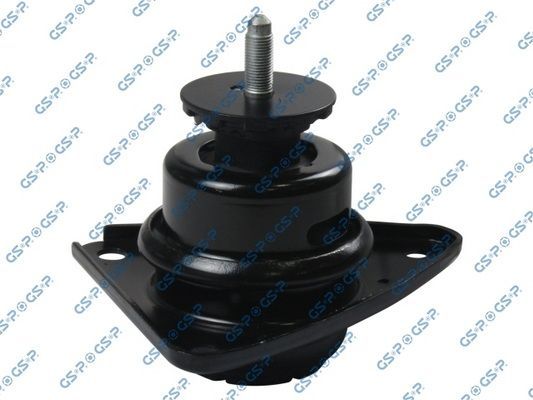 Variklio montavimas GSP 518168
