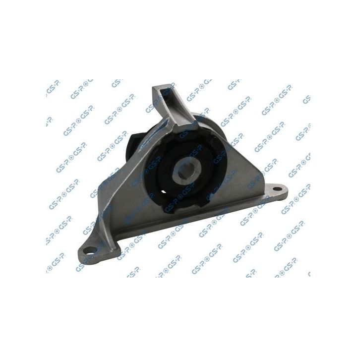 Variklio montavimas GSP 518184