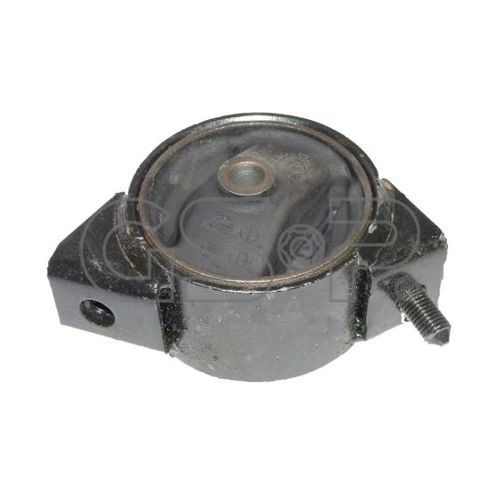 Variklio montavimas GSP 518297