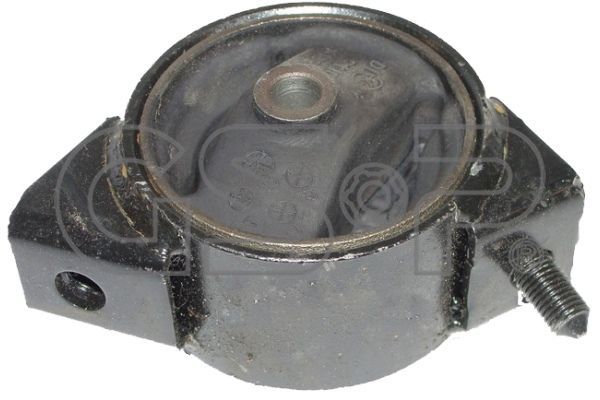 Variklio montavimas GSP 518297