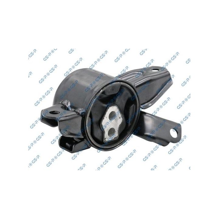 Variklio montavimas GSP 518406