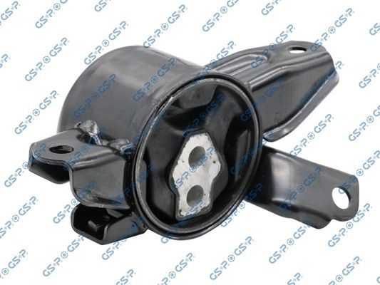 Variklio montavimas GSP 518406