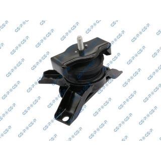 Variklio montavimas GSP 518407