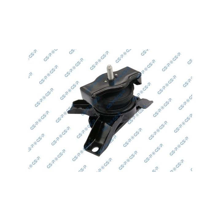 Variklio montavimas GSP 518407