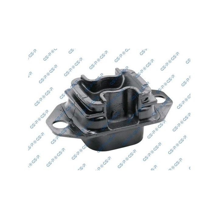 Variklio montavimas GSP 518882