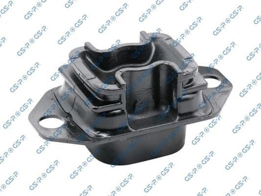Variklio montavimas GSP 518882