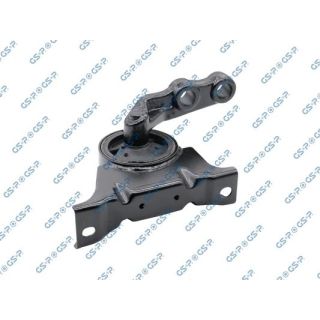 Variklio montavimas GSP 518886