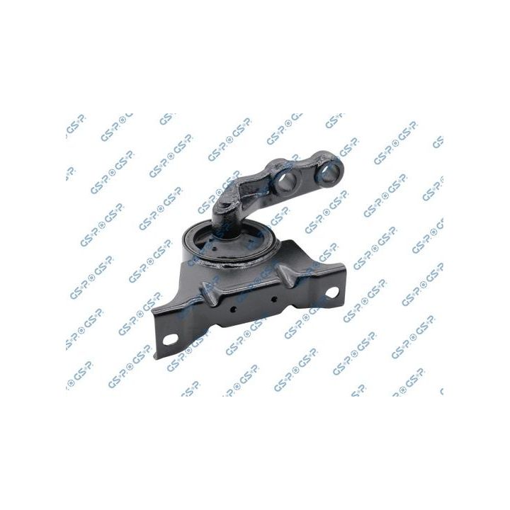 Variklio montavimas GSP 518886