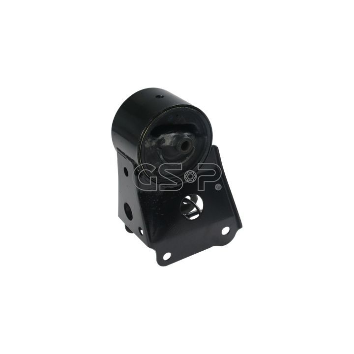 Variklio montavimas GSP 519016