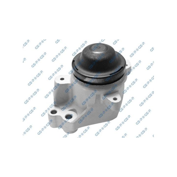 Variklio montavimas GSP 519031