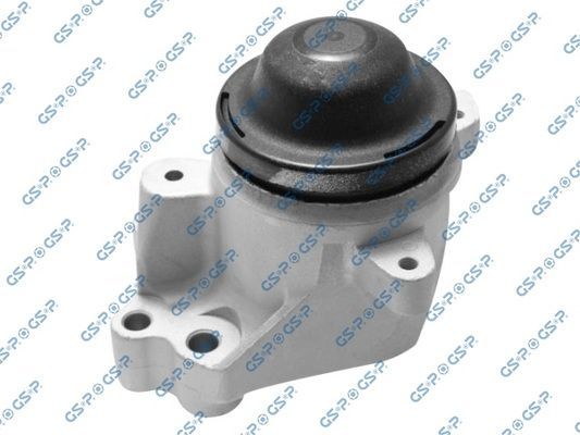 Variklio montavimas GSP 519031