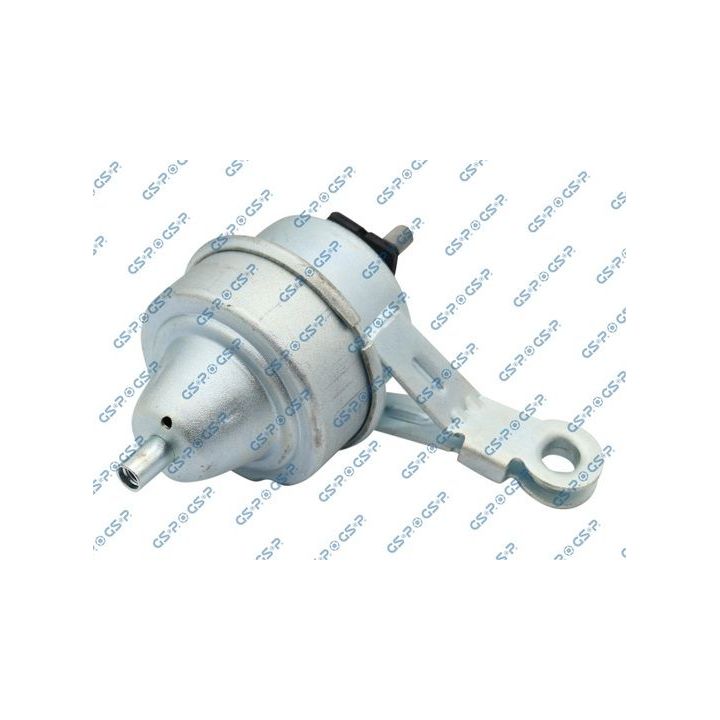 Variklio montavimas GSP 519051