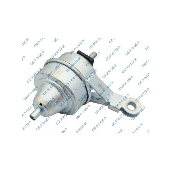 Variklio montavimas GSP 519052