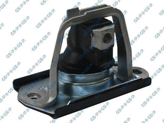 Variklio montavimas GSP 519252