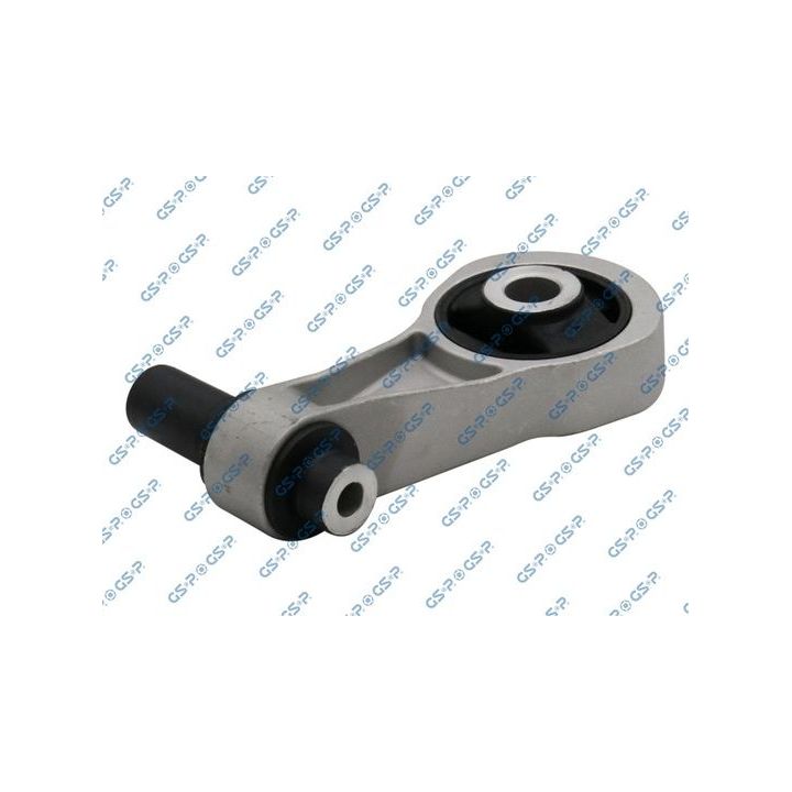 Variklio montavimas GSP 519332