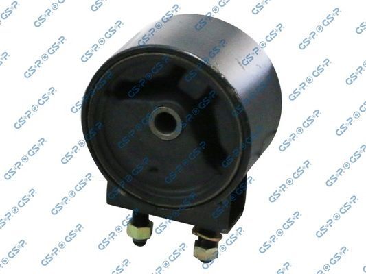 Variklio montavimas GSP 519468S