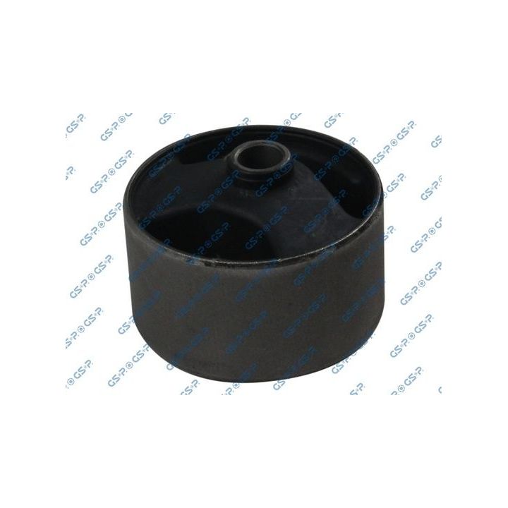 Variklio montavimas GSP 519480