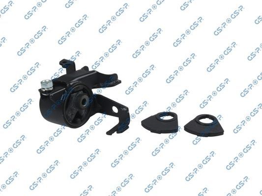 Variklio montavimas GSP 519491