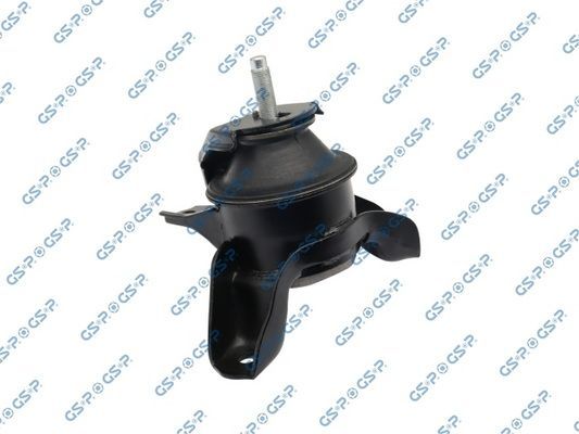 Variklio montavimas GSP 519501