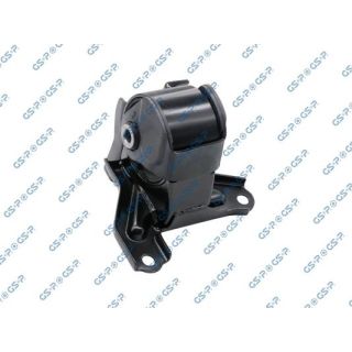 Variklio montavimas GSP 519570