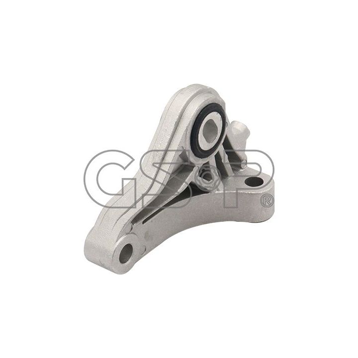 Variklio montavimas GSP 530424