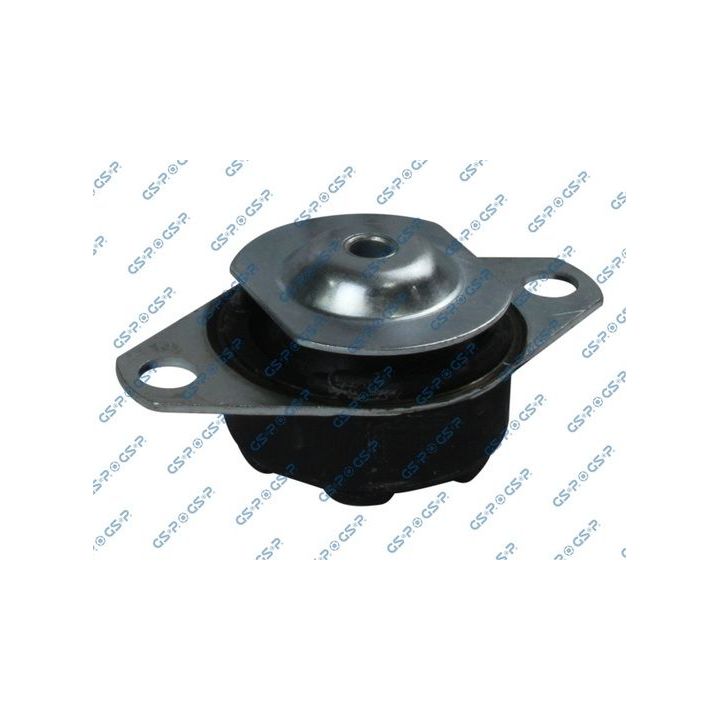 Variklio montavimas GSP 530837