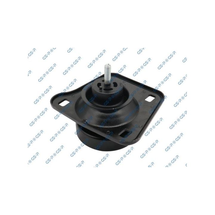 Variklio montavimas GSP 530867