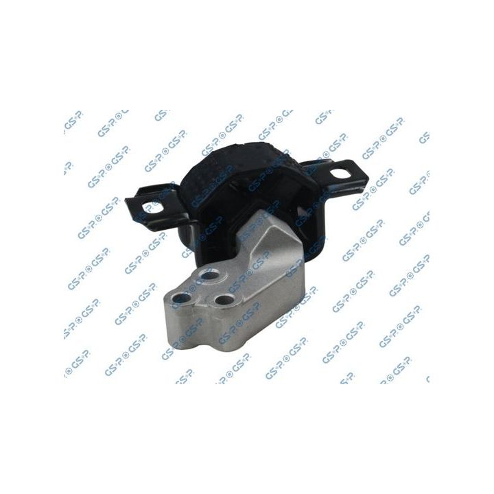 Variklio montavimas GSP 530883