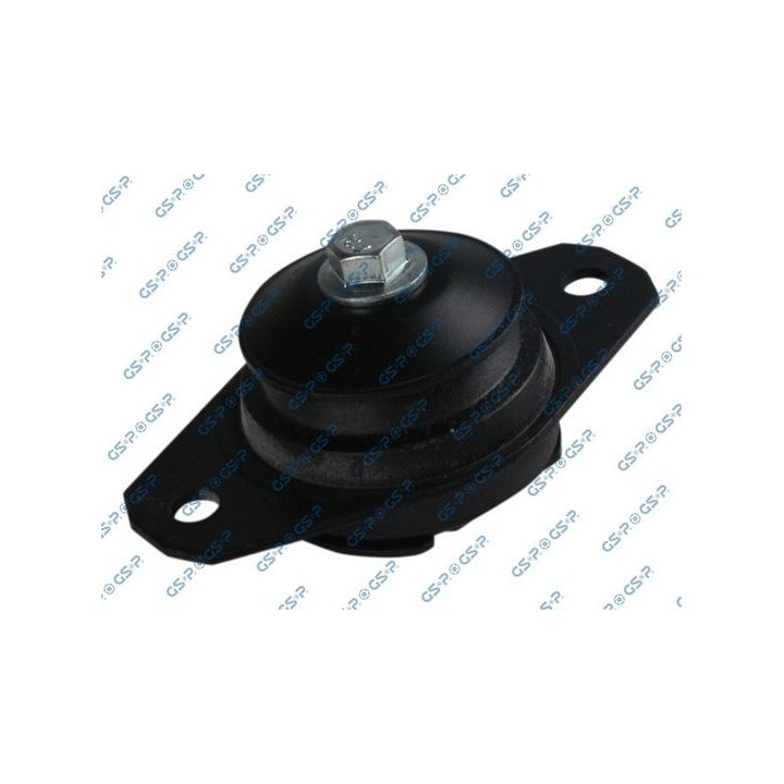 Variklio montavimas GSP 531002