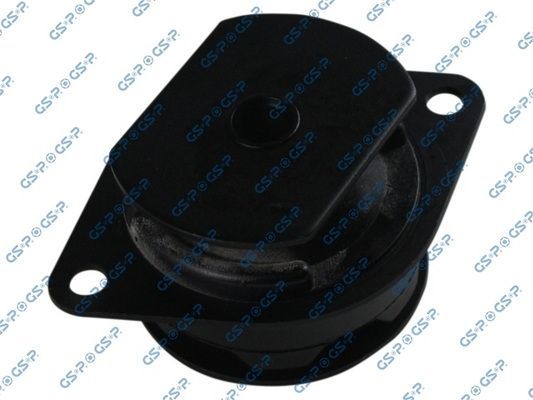 Variklio montavimas GSP 531005