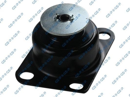 Variklio montavimas GSP 531010